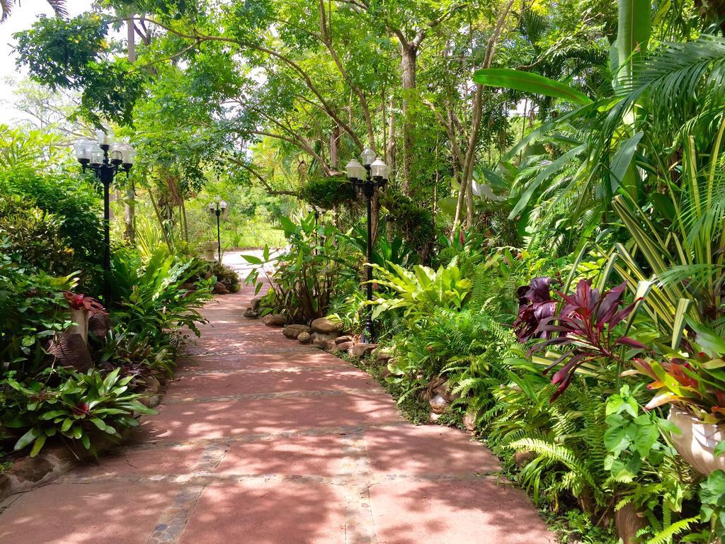 Phu Pha Nam Resort Dan Sai Eksteriør billede