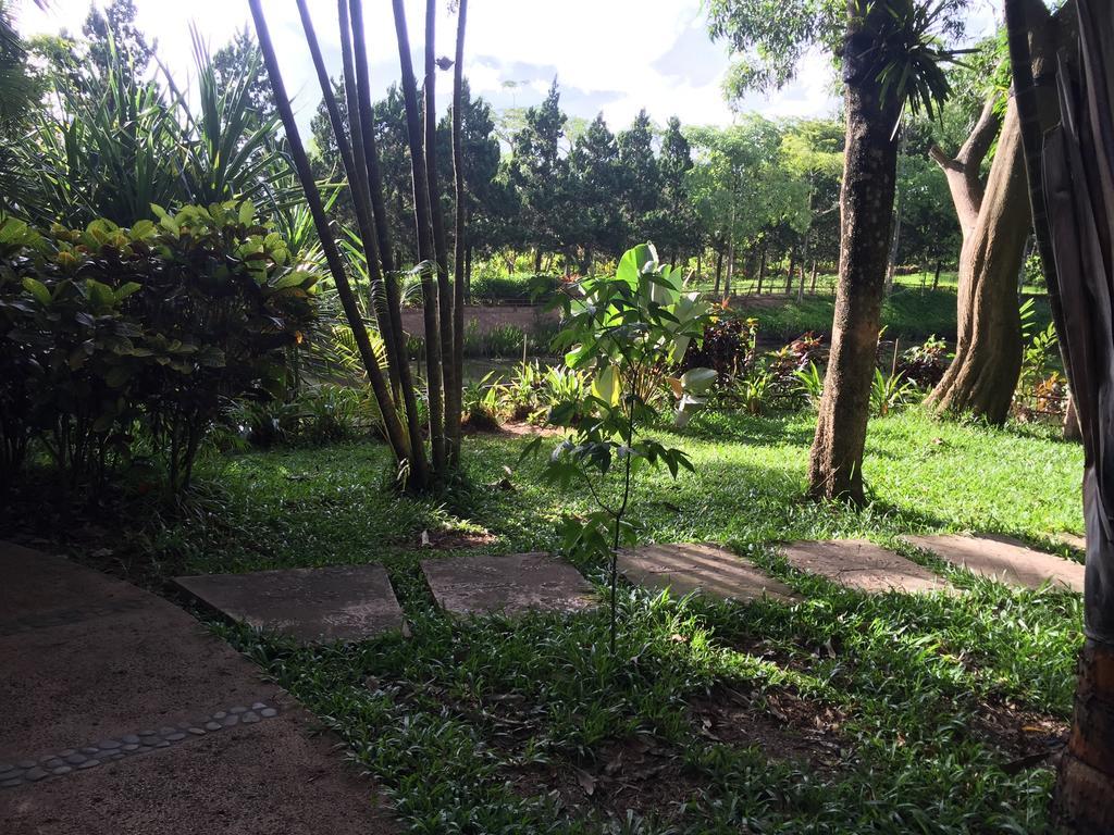 Phu Pha Nam Resort Dan Sai Eksteriør billede