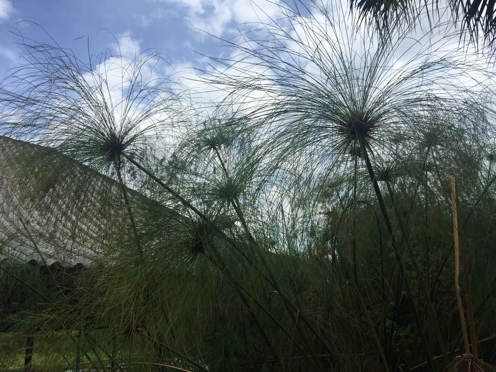 Phu Pha Nam Resort Dan Sai Eksteriør billede
