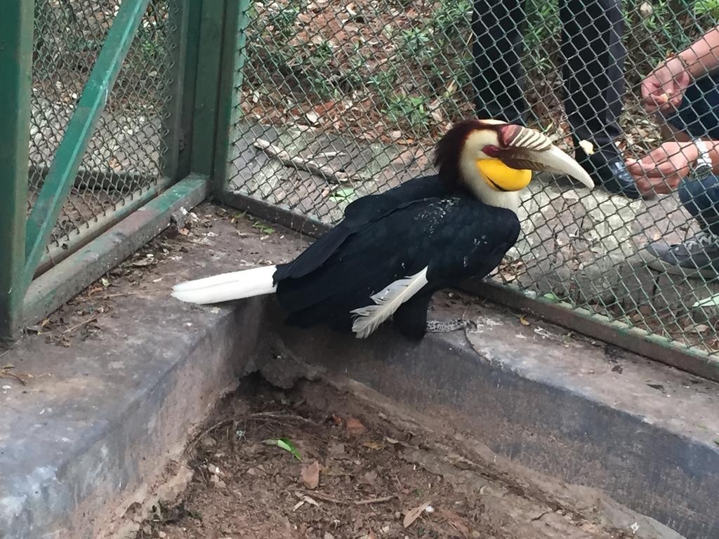 Phu Pha Nam Resort Dan Sai Eksteriør billede