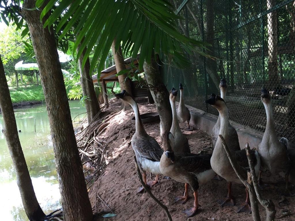 Phu Pha Nam Resort Dan Sai Eksteriør billede