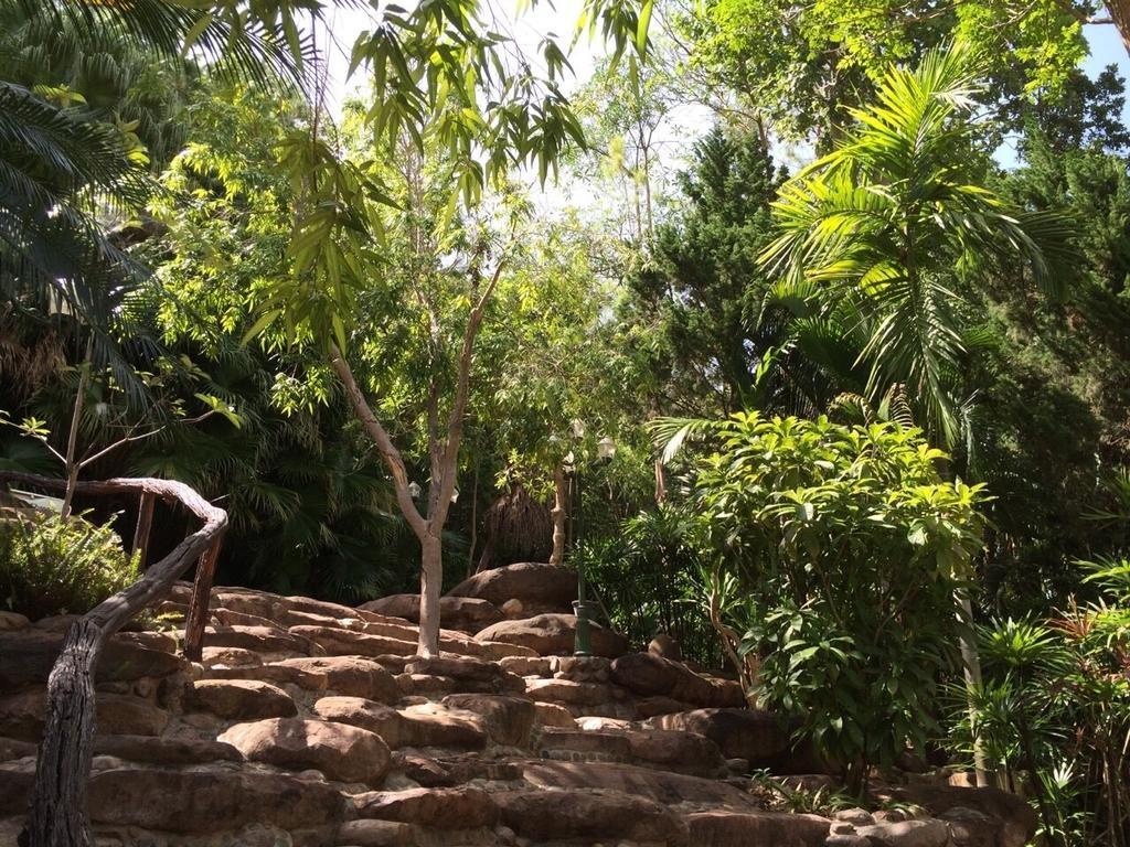 Phu Pha Nam Resort Dan Sai Eksteriør billede
